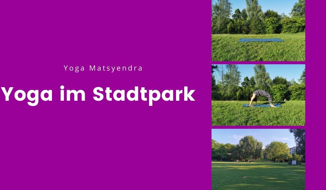 Wir starten mit Yoga im Fürther Stadtpark