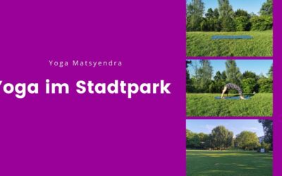 Wir starten mit Yoga im Fürther Stadtpark