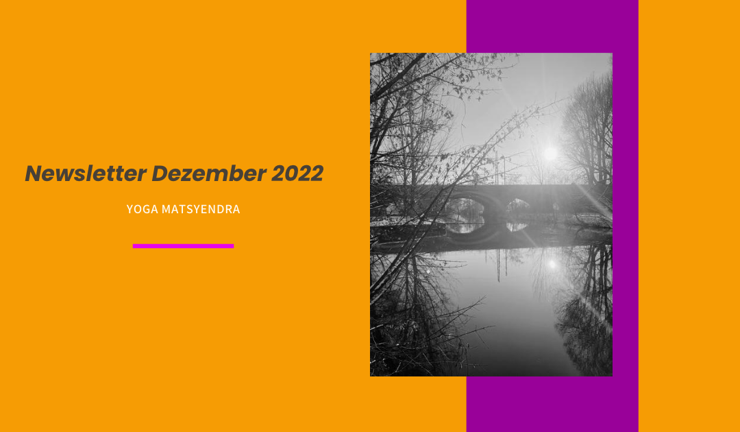Newsletter Dezember 2022