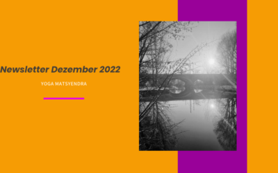 Newsletter Dezember 2022