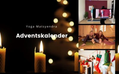 Der Yoga Matsyendra Adventskalender